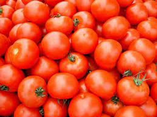 Pesticide Free Rich In Nutrient Round Shape Red Fresh Tomatoes