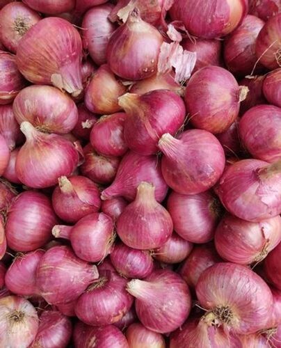 Round Shaped And Pleasant Strong Aroma Very Nutritious Natural Organic Fresh Onion