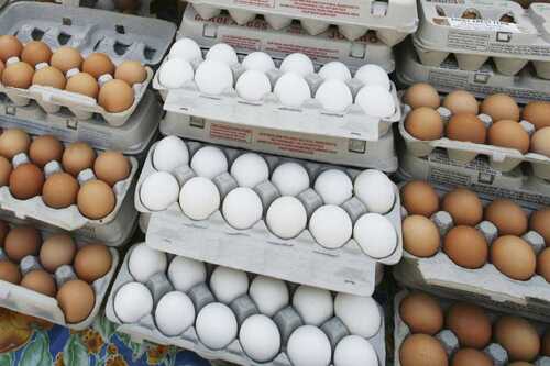 Chicken Brown And White Eggs, 0.067 Gm Carbohydrates, Oval Shape Hardness: Rigid