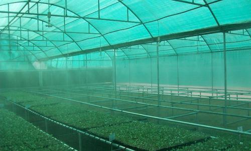 HDPE Plastic Agro Net in