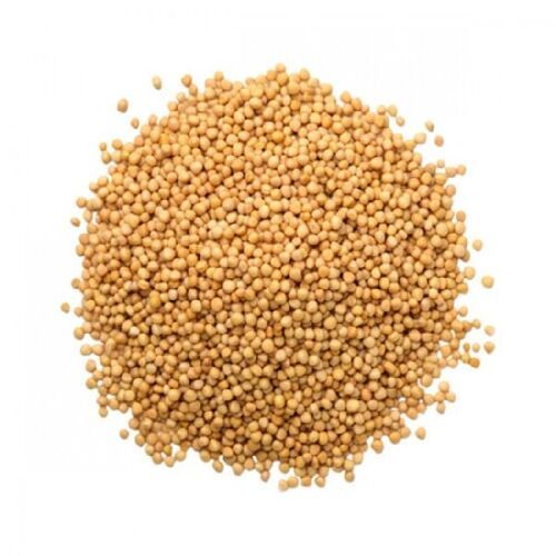 Healthy Natural Rich Fine Taste Chemical Free Organic Yellow Mustard Seeds