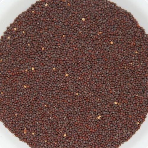 Black Strong Flavor Authentic Aroma Rich Antioxidants Nutritious Brown Mustard Seed