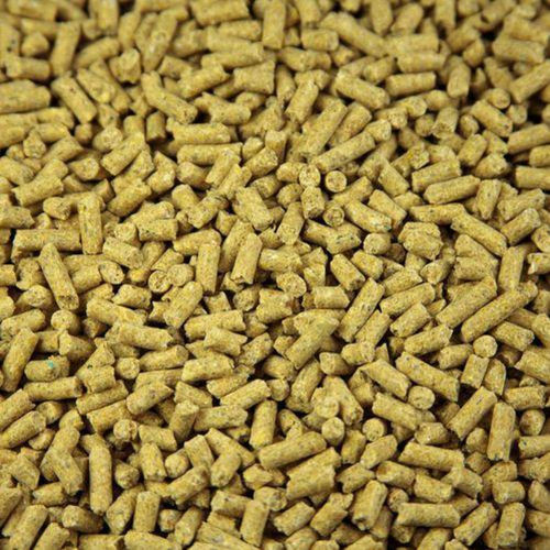 100% Organic Granule Brown Basic Cattle Feed For Cows And Buffaloes
