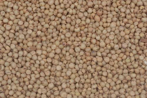 Gluten-Free High In Fibre Natural White Whole Grain Sorghum Seeds 