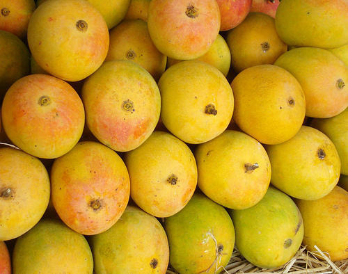 Indian Originated Sweet And Juicy Fresh Yellow Devgad Alphonso Mango (Hapus)
