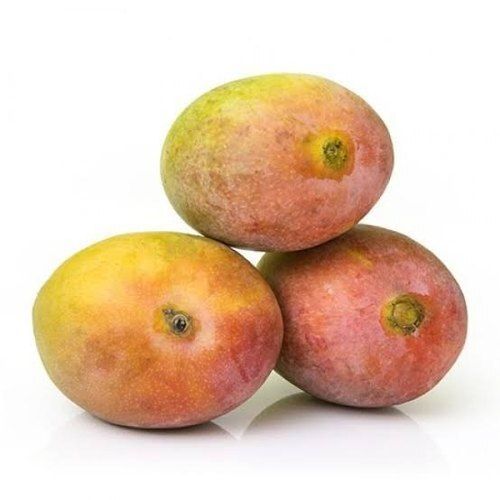 Common Juicy And Pulpy Sweet Flavorful Fragrant Yellow Red Organic Fresh Lalbagh Kesar Mango