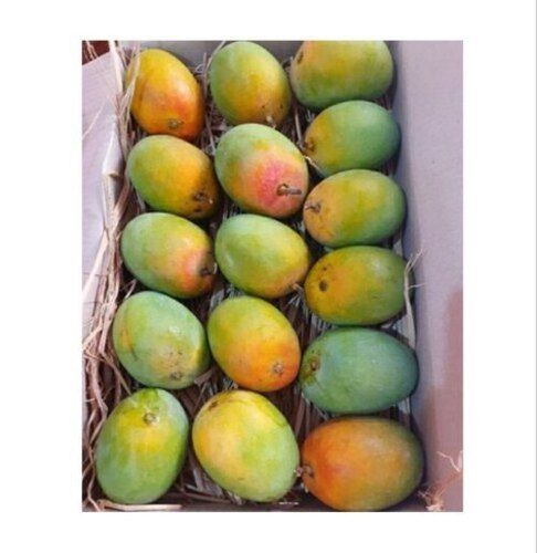 Yellow And Green Juicy Mouthwatering Sweet Luscious Pulp Aromatic Ratnagiri Alphonso Mangoes