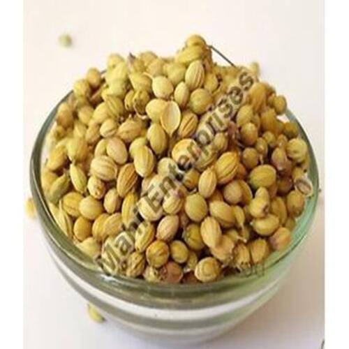 Long Shelf Life Healthy Natural Rich Fine Taste Dried Coriander Seeds