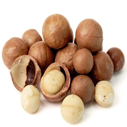 Macadamia Nuts in Shell (Roasted Macadamia Nuts)