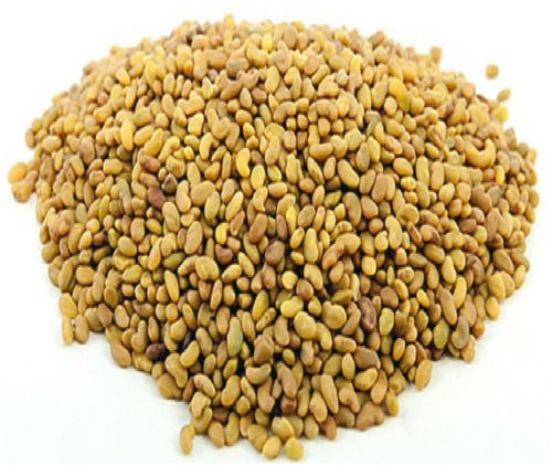 Natural 99.95% Alfalfa Seeds For Agriculture, Packaging Type: PP Bag