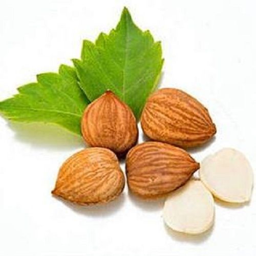 Premium Quality Natural Apricot Kernels Application: Industrial