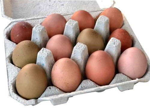 Chicken Fresh Brown Eggs Egg Size: 4 Inch