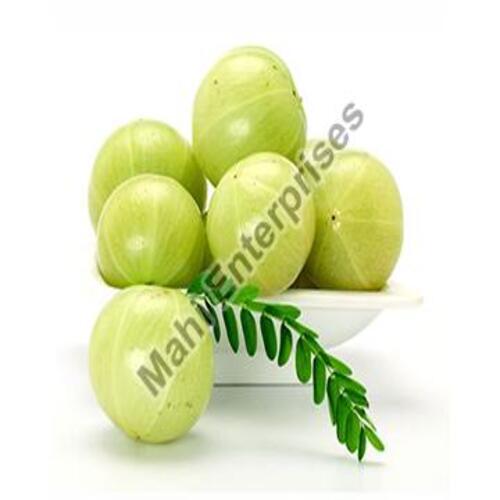 Easy to Digest Chemical Free Healthy Natural Taste Green Fresh Amla