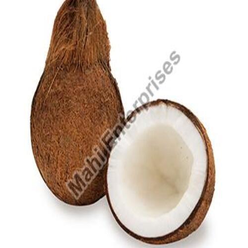 Bopp Natural Rich Taste Free From Impurities Healthy Brown Dry Coconut