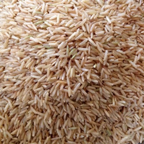 Organically Cultivated Sun Dried Medium Grain Indian Brown Organic Rice