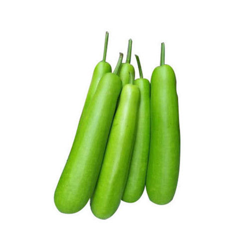 Rich Natural Fine Taste Chemical Free Healthy Green Fresh Bottle Gourd