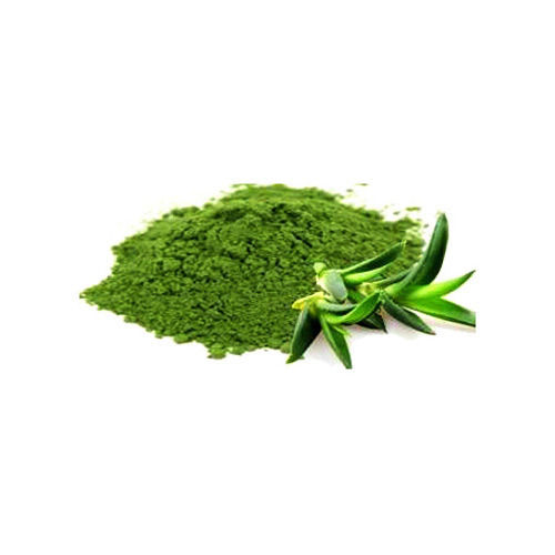 Pure Fresh And Natural Green Aloe Vera Powder