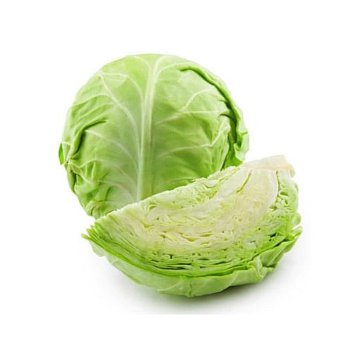 Floury Texture Rich Natural Fine Taste Healthy Organic Green Fresh Cabbage