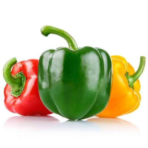 Fresh Exotic Color Capsicum