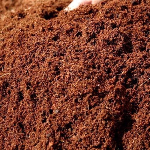 Plastic 1 Kilogram 15% Moisture Eco Friendly Raw Coconut Coir Pith Powder