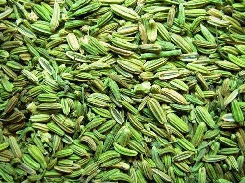 Organic Hybrid Fennel Seeds