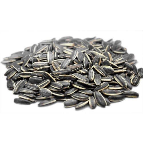 Rich Source Of Minerals Low Calories Hybrid Black Sunflower Seeds
