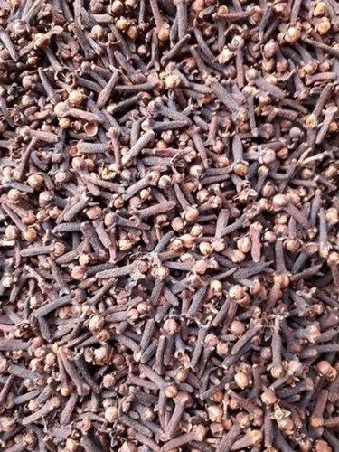 Commonly Cultivated Food Grade Raw Dried Long Cloves Seed