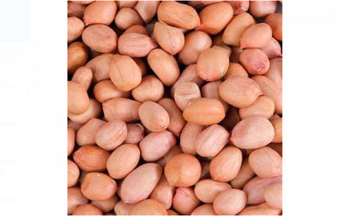 Brown Natural And Healthy Medium Size A Grade Dried Raw Fresh Peanuts 