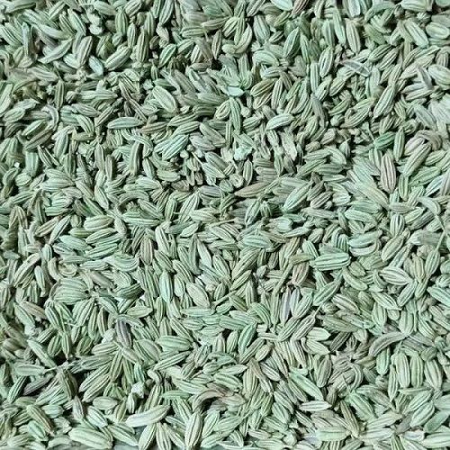 Green Pure And Natural Dried Organically Cultivated Raw Fennel Seed