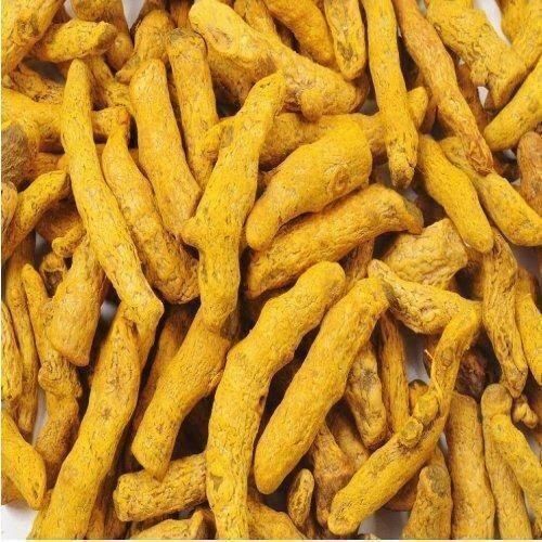 Nutrients Enriched Natural Aroma And Color Featured Organic Turmeric Finger