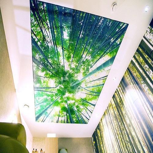 Printed Stretch Ceiling Film For Commercial And Residence Uses