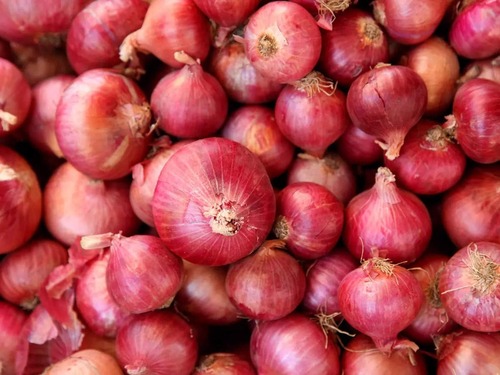 Spherical Commonly Cultivated Naturals And Fresh Raw Healthy Red Onion - 1 Week Shelf Life, 86% Moisture | Versatile Ingredient for Cooking, Salads, and Appetizers