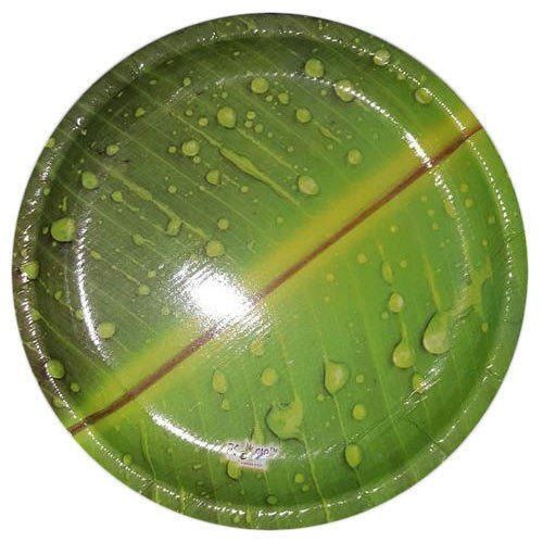 Eco Friendly Biodegradable Eco Safe Renewable Round Disposable Paper Plate Application: Serving Eatables During Family Functions