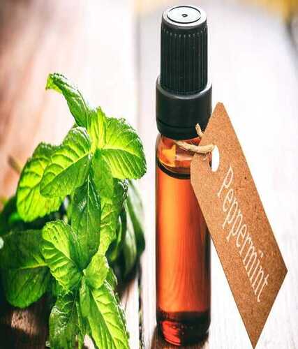 Peppermint Oil For Pharma Industry, Packaging Size - 15 Ml, 30 Ml, 50 Ml, 100 Ml, 250 Ml