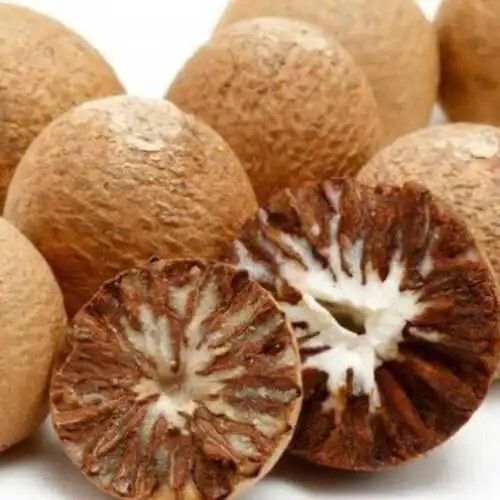 100% Organic And Natural Indian Big Size Betel Nuts