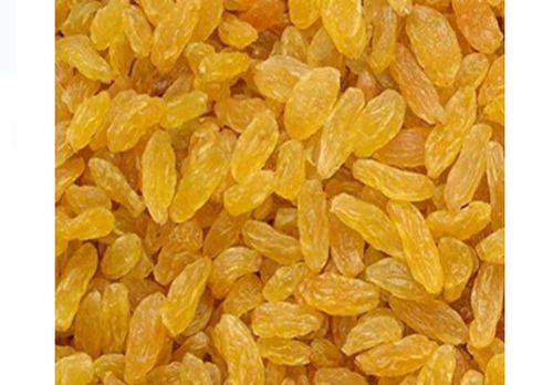 Golden Sweet Taste Medium Size Dried Raisin With 12 Months Shelf Life