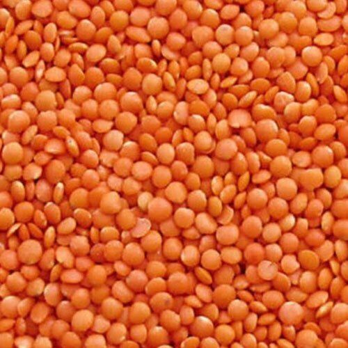 High Nutritious Red Masoor Dal