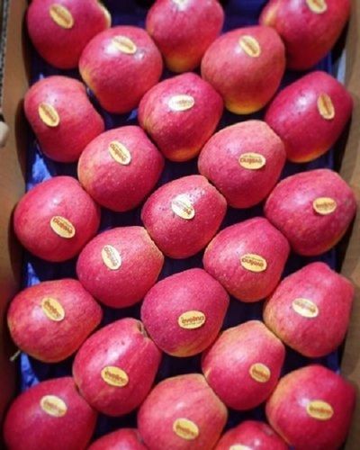 Kashmiri A Grade Apple, Packaging Size: 15kg, Packaging Type: Carton