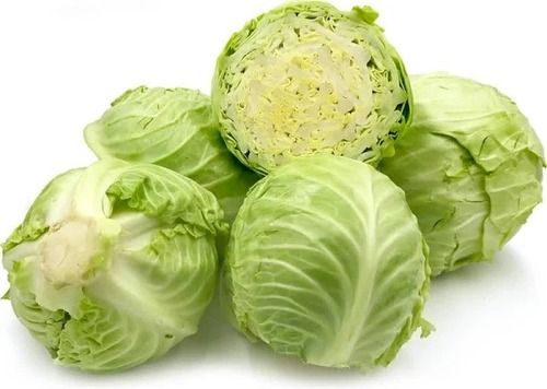 Food Grade Pure And Natural Commonly Cultivated Fresh Raw Cabbage Vegetables