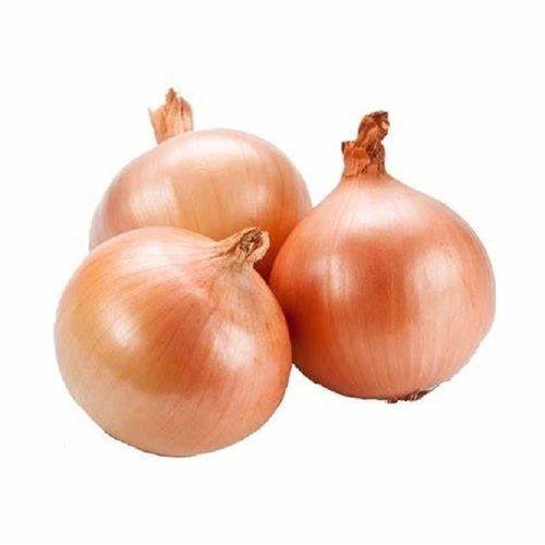 Fresh Red Onion With High Quality