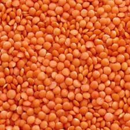 Hygienically Processed Commonly Cultivated Splited Dried Masoor Dal, 1 Kg