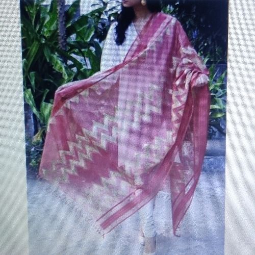 Ladies Wear In Indore, Madhya Pradesh At Best Price