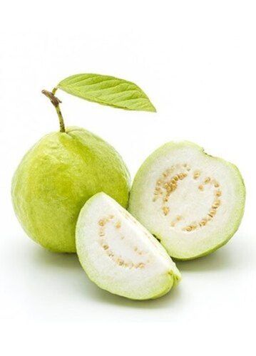 A Grade 99.9% Pure Fresh Indian Origin Common Cultivated Sweet Green Guava