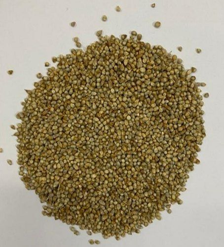 Organic Foxtail Millet