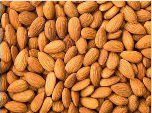 Rich In Protein And Potassium Commonly Cultivated Brown Dried Crunchy Almond Nuts