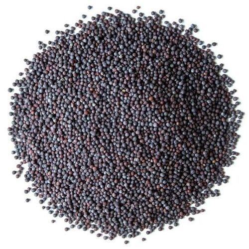 Black Mustard Seeds