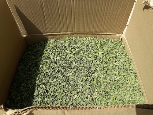 Green Dried Mint Leaves, Packaging Size: 10 Kg