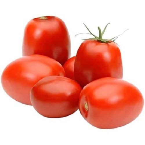 Fresh Round And Oval 94.4% Moisture Juicy Tomatoes For Cooking
