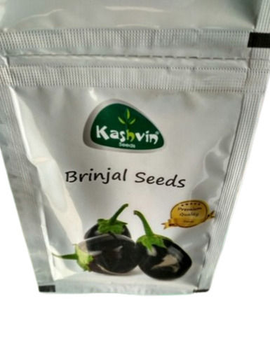 100 Grams Dried Food Grade Kashvin Paudha Agricultural Brinjal Seeds