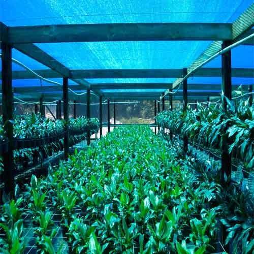 Breathable Mesh Sun And Bird Protection Blue Agro Shade Net Base Material: Polyethylene Fabric